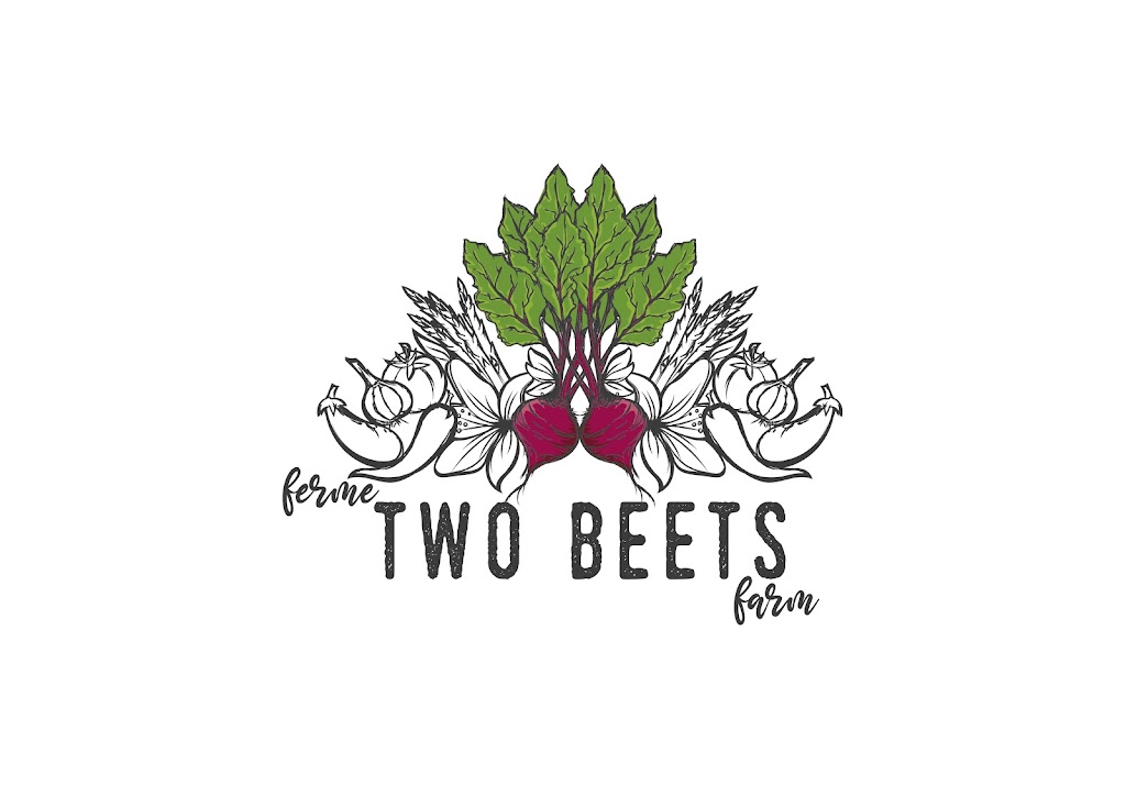 Ferme Two Beets Farm | 550 Chem. River, LAnge-Gardien, QC J8L 0M3, Canada | Phone: (416) 573-3606