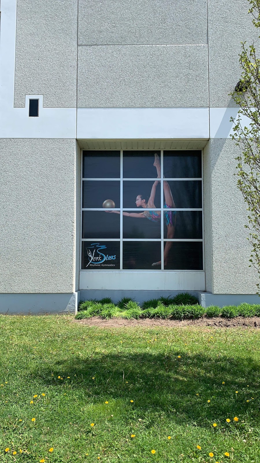 York Stars Rhythmic Gymnastics Club | 189 Earl Stewart Dr, Aurora, ON L4G 6V5, Canada | Phone: (647) 669-1800
