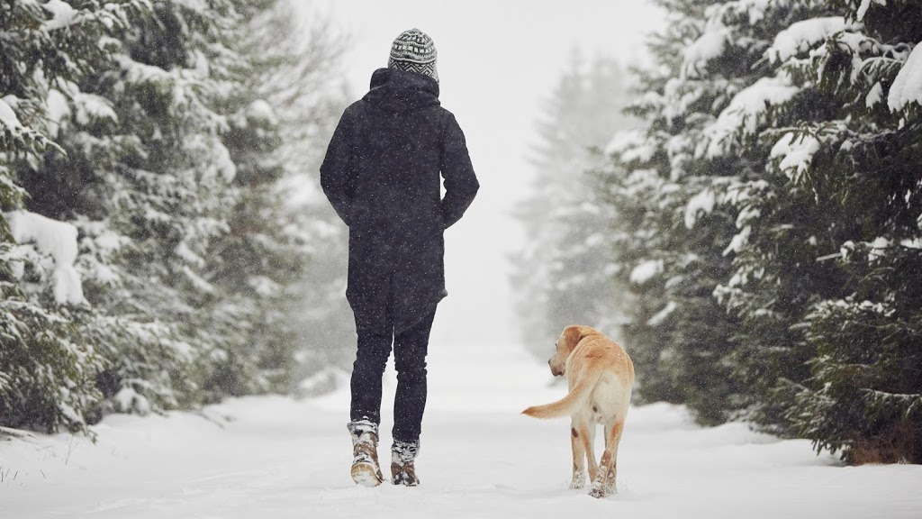 Banfield Pet Hospital | 4379 Meridian St, Bellingham, WA 98226, USA | Phone: (360) 734-9459