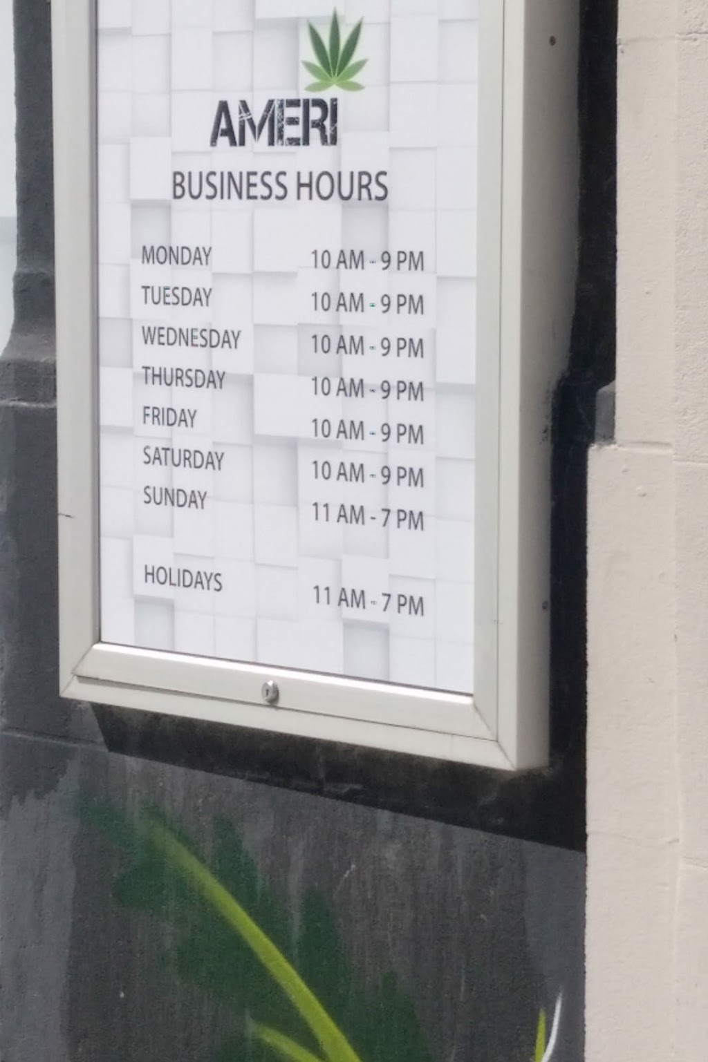 Ameri | 306 Eglinton Ave W, Toronto, ON M4R 1B2, Canada | Phone: (416) 489-6660