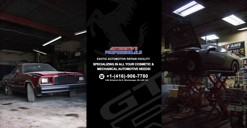 Automotive Professionals | 1220 Britannia Rd E, Mississauga, ON L4W 1C8, Canada | Phone: (416) 906-7780
