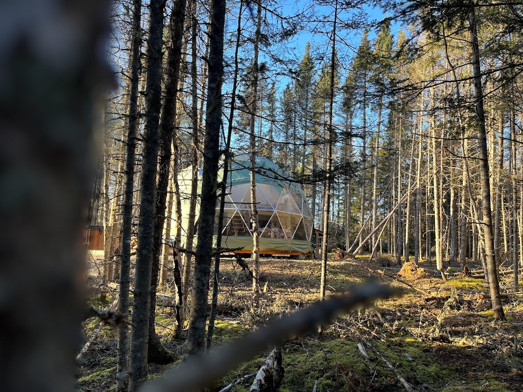Forest Lane Domes and Experiences | Forest Lane Domes, 396 Guthrie Rd, Norton, NB E5N 4L8, Canada | Phone: (519) 216-9803