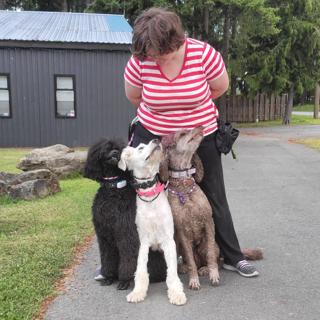 Balanced behavior canine | 1575 Graham Place, Ladysmith BC, V9G IKI, Ladysmith, BC V9G 1K1, Canada | Phone: (250) 618-7711