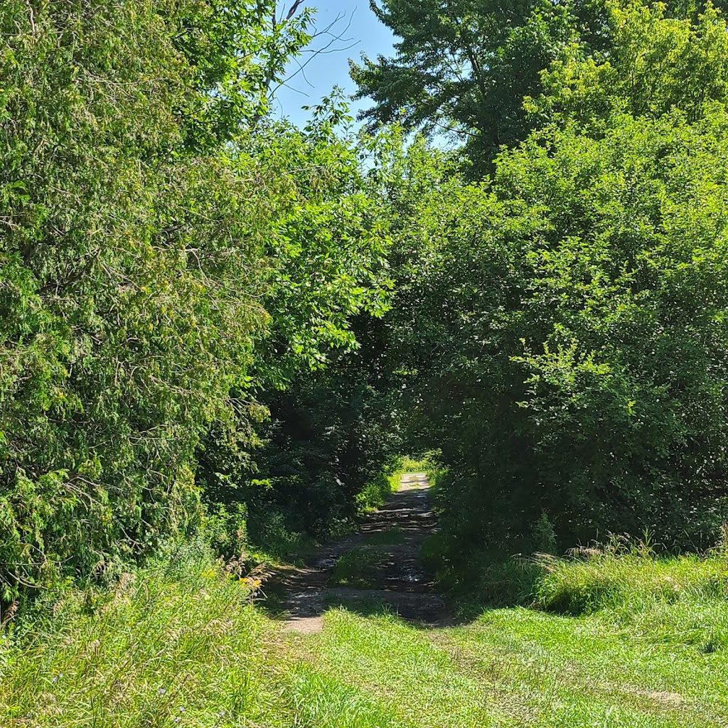 Tipsy Willow Farm | 2280 Blezard Line, Indian River, ON K0L 2B0, Canada | Phone: (613) 922-1606