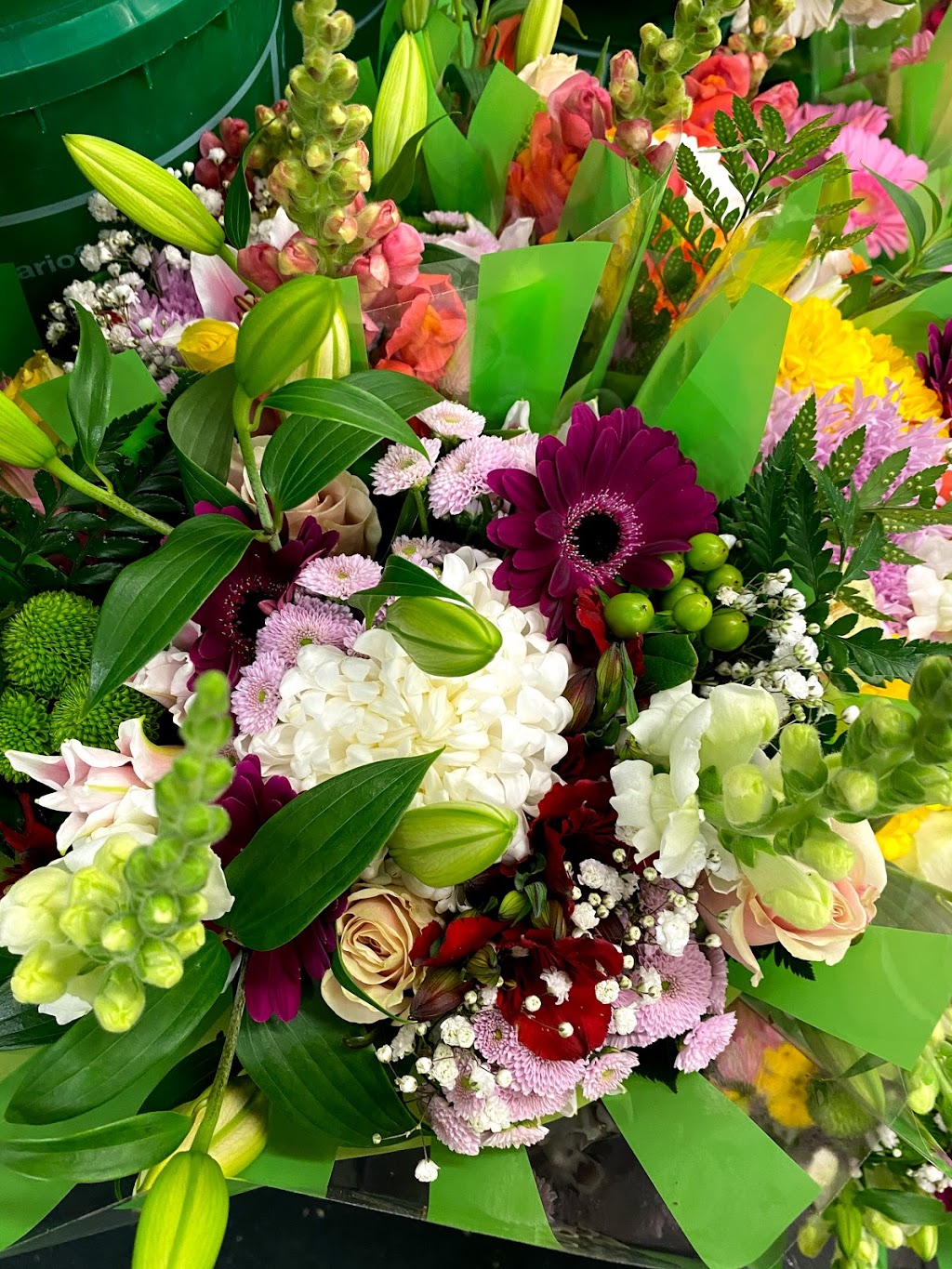 Kingston Road Flower Market | 966 Kingston Rd, Toronto, ON M4E 1S7, Canada | Phone: (416) 694-9131