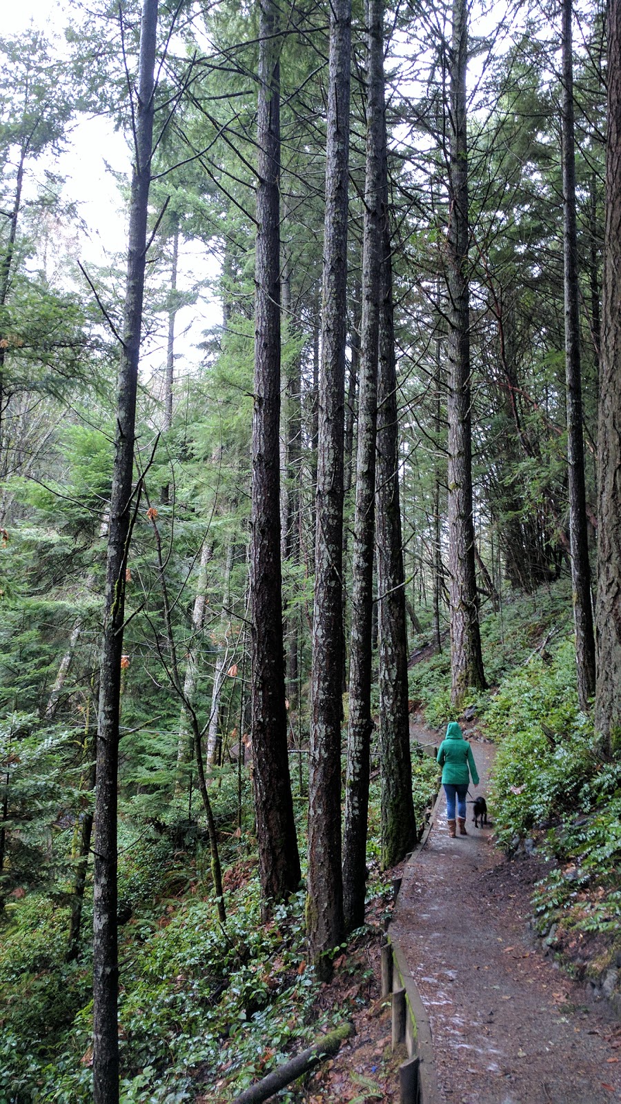 Latoria Creek Park | Colwood, BC V9C, Canada