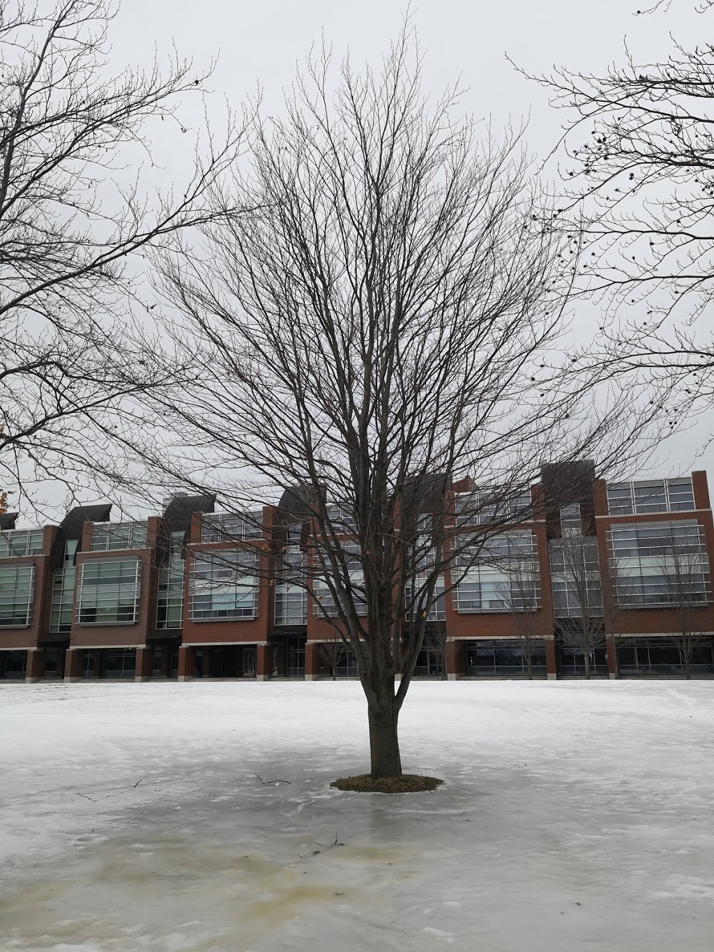 Polonsky Commons | 2000 Simcoe St N, Oshawa, ON L1G 0C5, Canada | Phone: (905) 721-8668