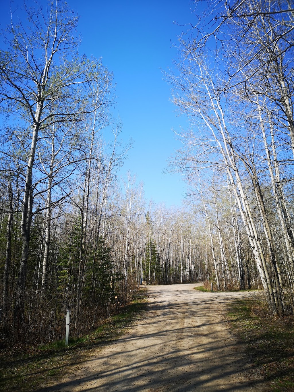 Nutimik Lake Campground | Nutimik Lake Campground, Manitoba R0E 1N0, Canada | Phone: (204) 348-2209