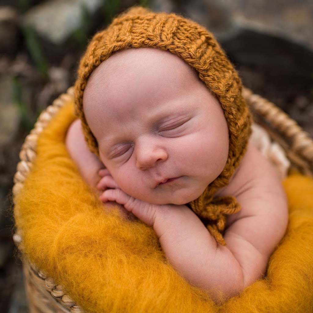 Rustic Rabbit Photography | 2416 20 St, Delburne, AB T0M 0V0, Canada | Phone: (403) 352-2636