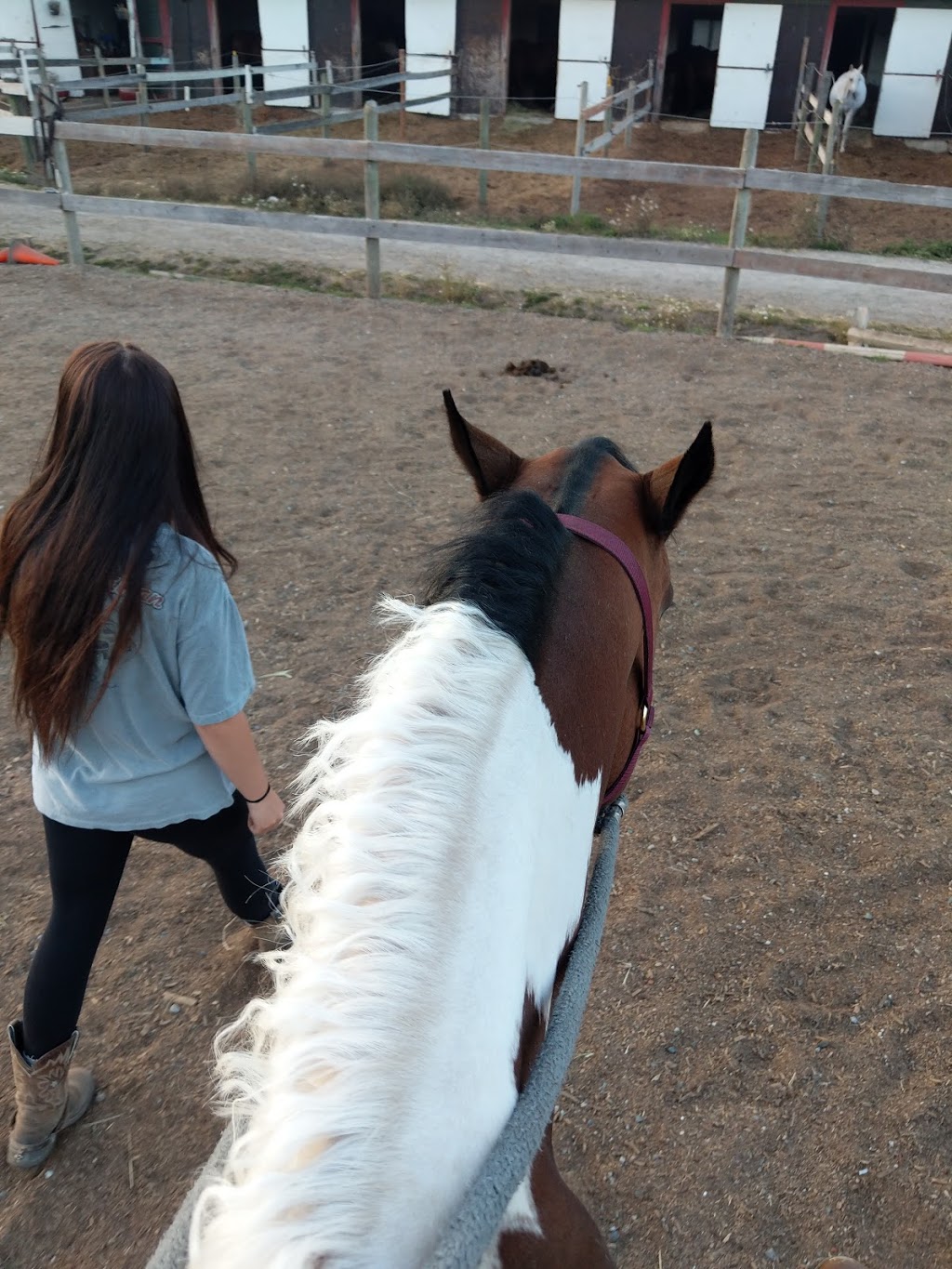 Valle Vista Stables | 6281 Lochside Dr, Saanichton, BC V8M 1Y5, Canada | Phone: (250) 888-1131