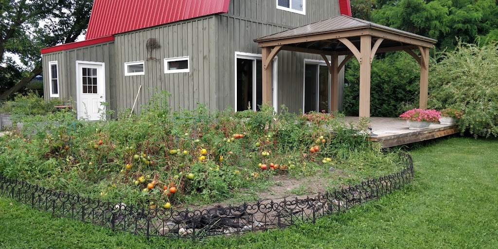 Three Dog Winery | 1920 Fish Lake Rd, Picton, ON K0K 2T0, Canada | Phone: (613) 403-4323