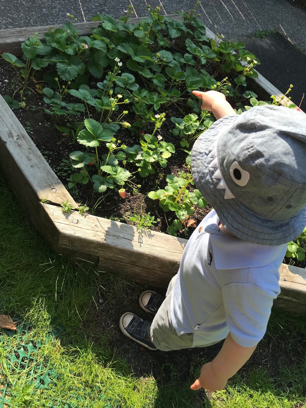 Windermere Kids Inc. | 356 Windermere Ave, Toronto, ON M6S 3L3, Canada | Phone: (416) 761-9772