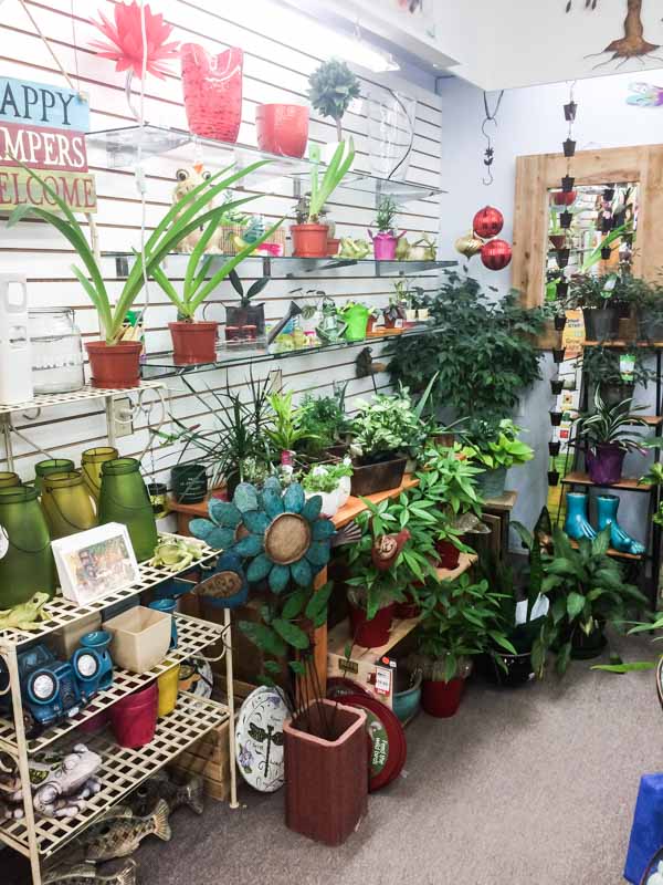 Eagle Valley IDA Pharmacy | 317 Main St, Sicamous, BC V0E 2V0, Canada | Phone: (250) 836-2963