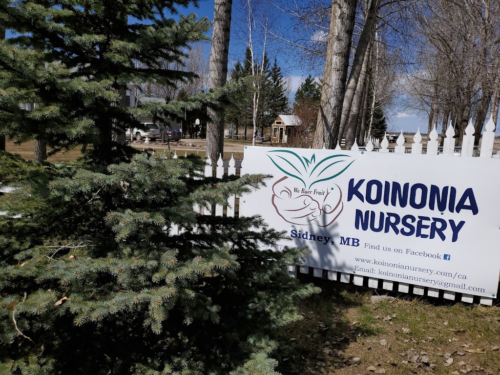 Koinonia Nursery | Box 51, Sidney, MB R0H 1L0, Canada | Phone: (204) 872-2255