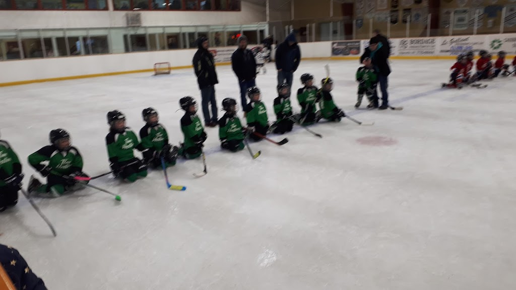 Rogersville Arena | 18 Rue des Ormes, Rogersville, NB E4Y 1S7, Canada | Phone: (506) 775-2559