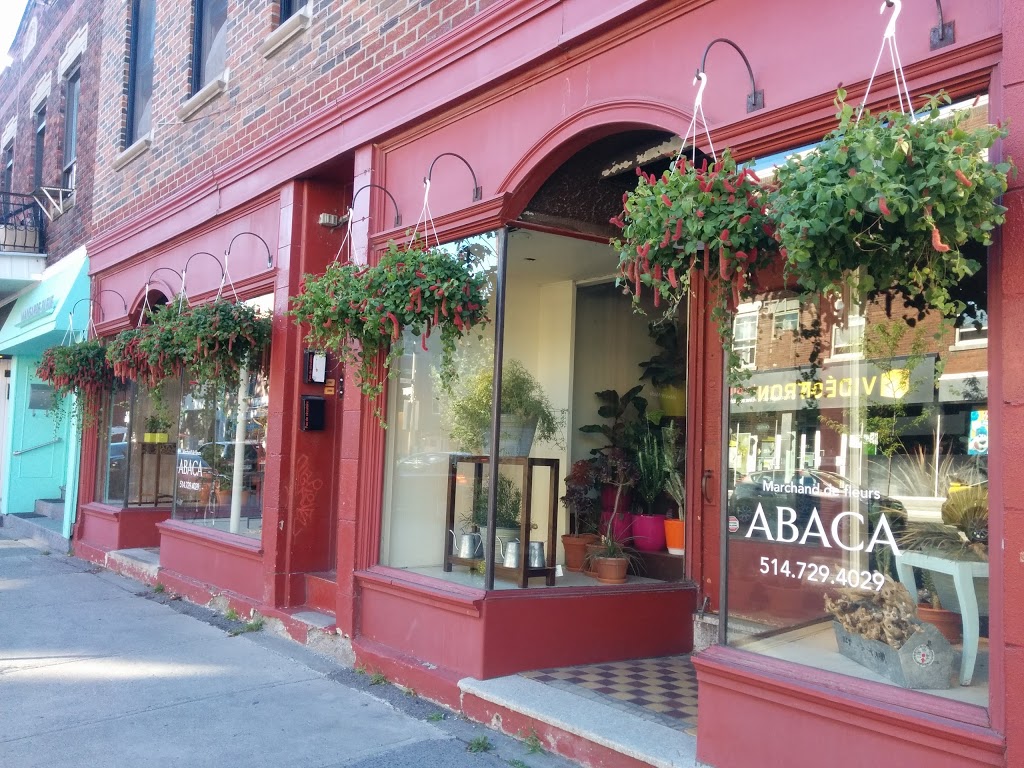 Fleuriste Abaca | 2565 Rue Beaubien E, Montréal, QC H1Y 1G4, Canada | Phone: (514) 729-4029