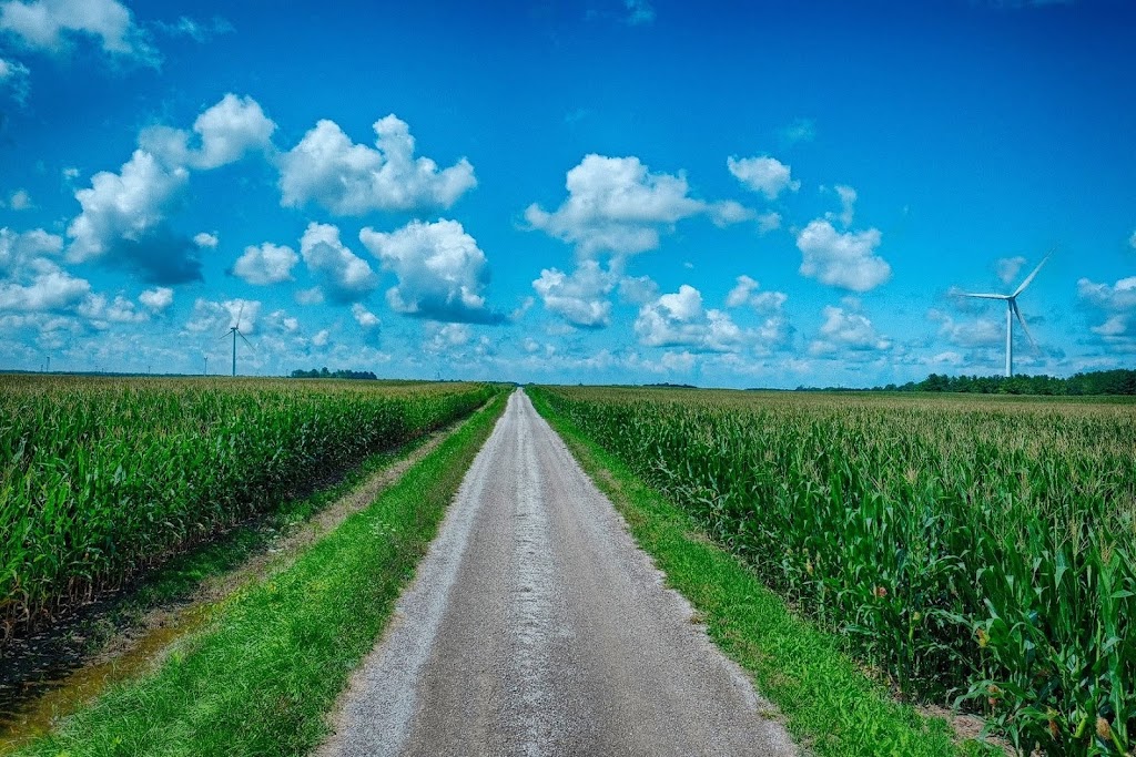 Country Emporium | Thedford, ON N0M 2N0, Canada | Phone: (519) 243-1717