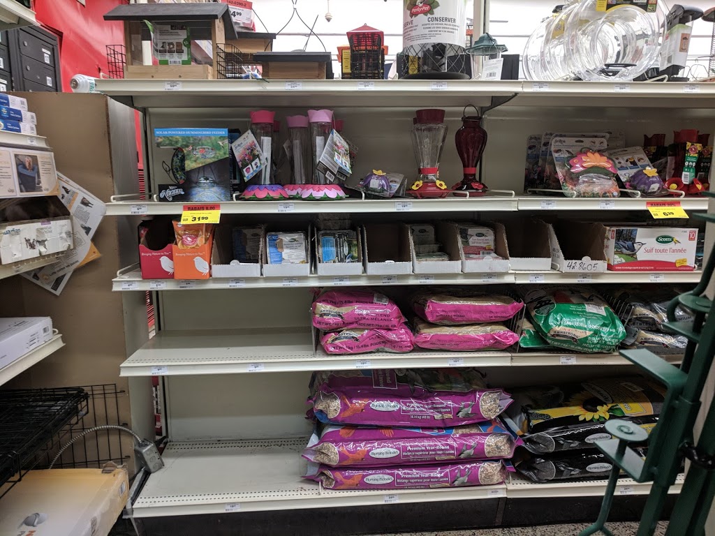 Canadian Tire | 1170 Rte de lÉglise, Québec, QC G1V 3W7, Canada | Phone: (418) 659-4882