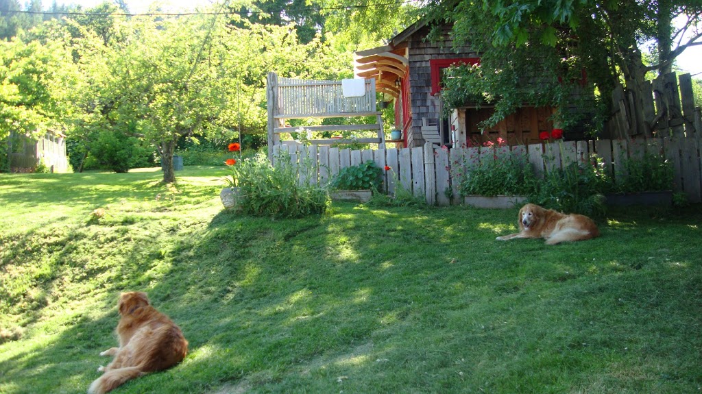 Orchard Cabin | 113 Perdue Rd, Salt Spring Island, BC V8K 2K6, Canada | Phone: (250) 537-1343