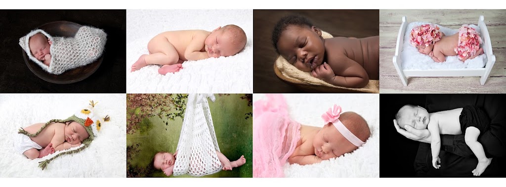 Windrush Images | 184 Arbour Lake Hill NW, Calgary, AB T3G 0H1, Canada | Phone: (403) 689-9519