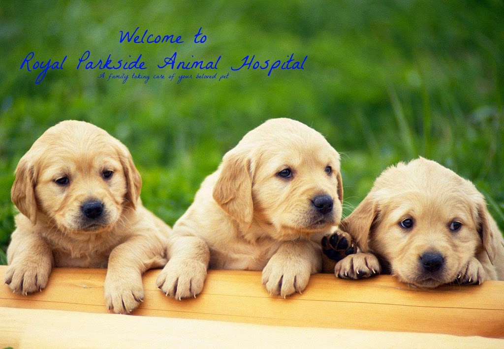 Royal Parkside Animal Hospital | 750 Big Bay Point Rd, Barrie, ON L4M 4S6, Canada | Phone: (705) 503-7724
