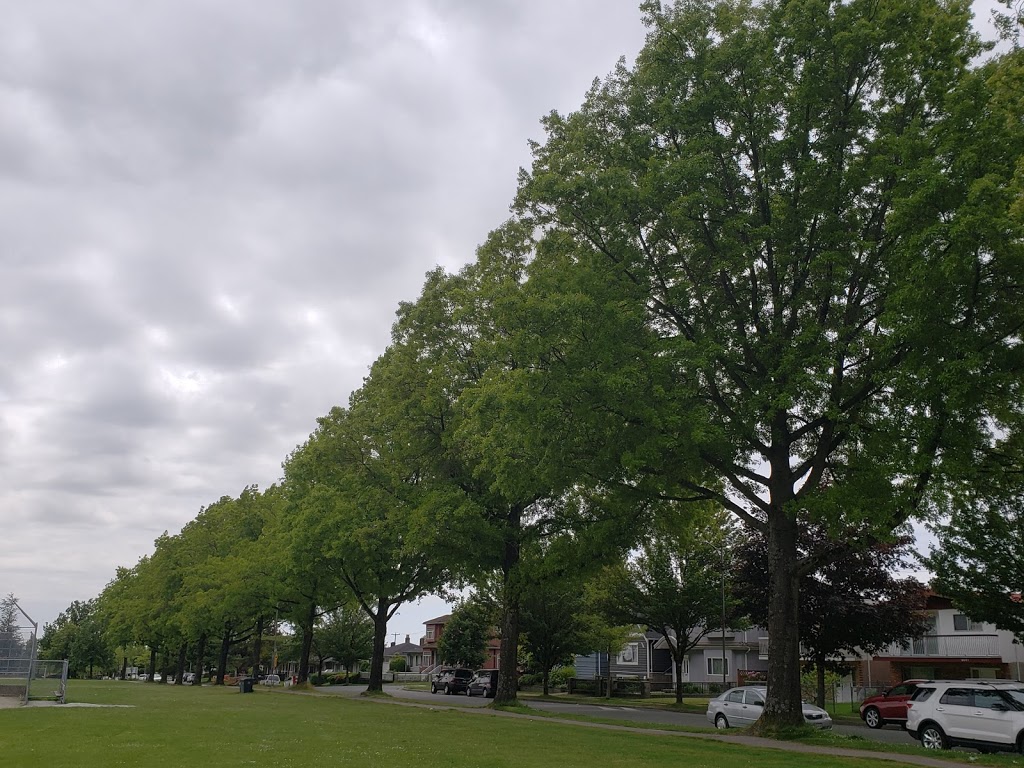 Gordon Park | 6675 Commercial St, Vancouver, BC V5P 3P5, Canada | Phone: (604) 873-7000