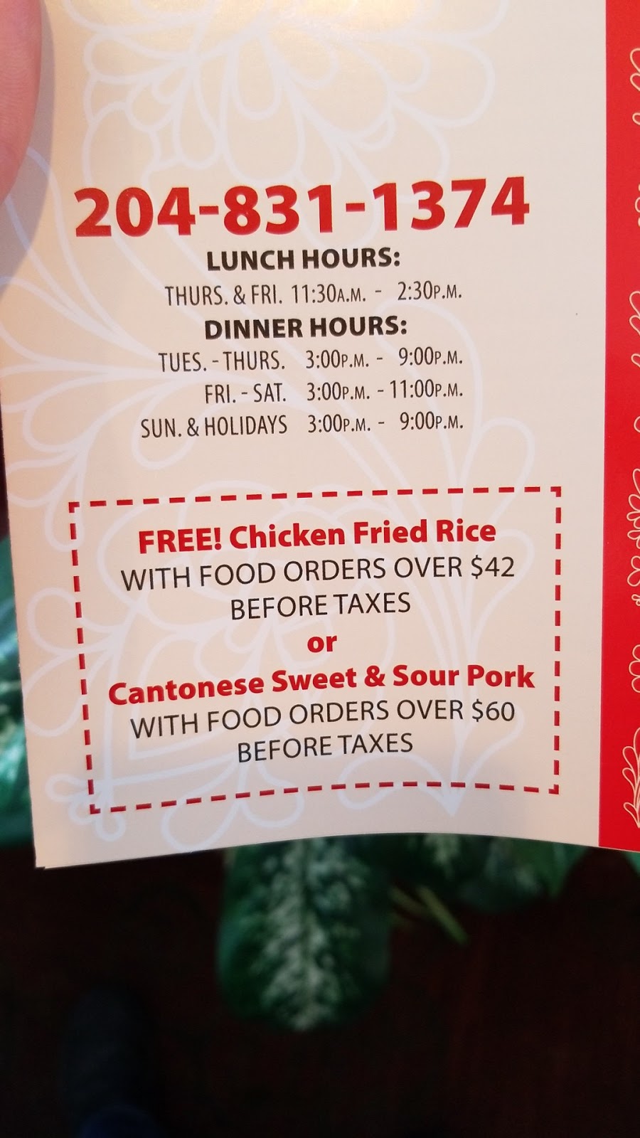 Yan Yan Chinese Food Restaurant | 3166 Portage Ave, Winnipeg, MB R3K 0Y5, Canada | Phone: (204) 831-1374