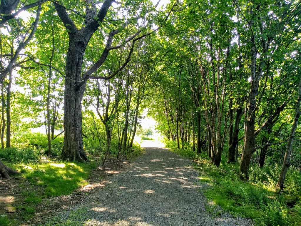 Amherst Point Migratory Bird Sanctuary | QPRX+MW, Nappan, NS B0L 1C0, Canada | Phone: (800) 668-6767