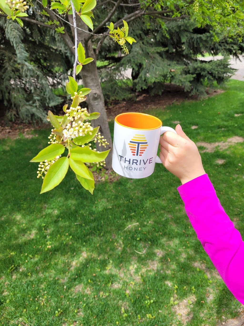 Thrive Honey Inc | 94056 AB-845, Coaldale, AB T1M 0A1, Canada | Phone: (403) 738-4395