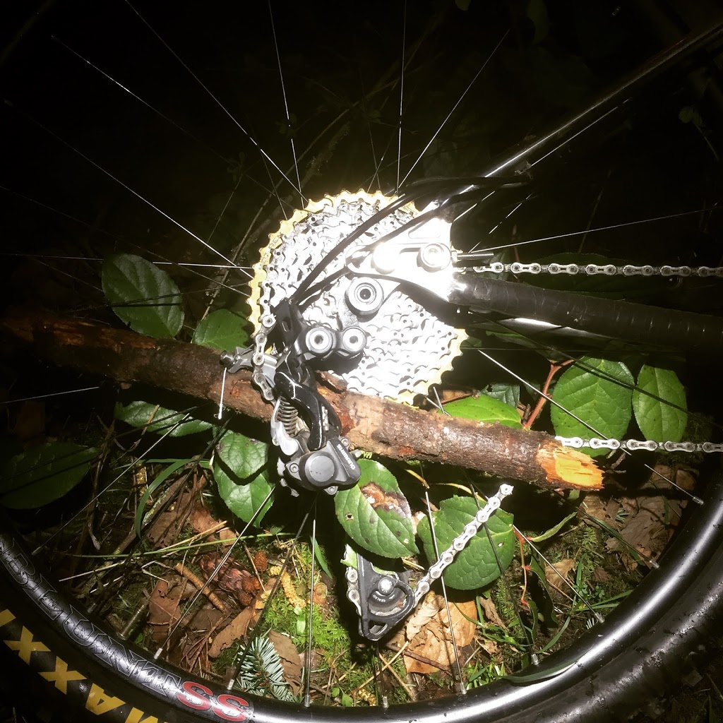 Village Cycles | 214 Lopez Rd, Lopez Island, WA 98261, USA | Phone: (360) 468-4013