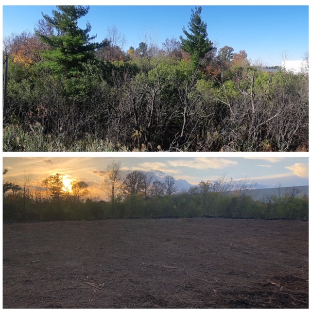 Beaver Brook Forestry & Contracting | 34903 Salem Rd, Parkhill, ON N0M 2K0, Canada | Phone: (519) 280-5087