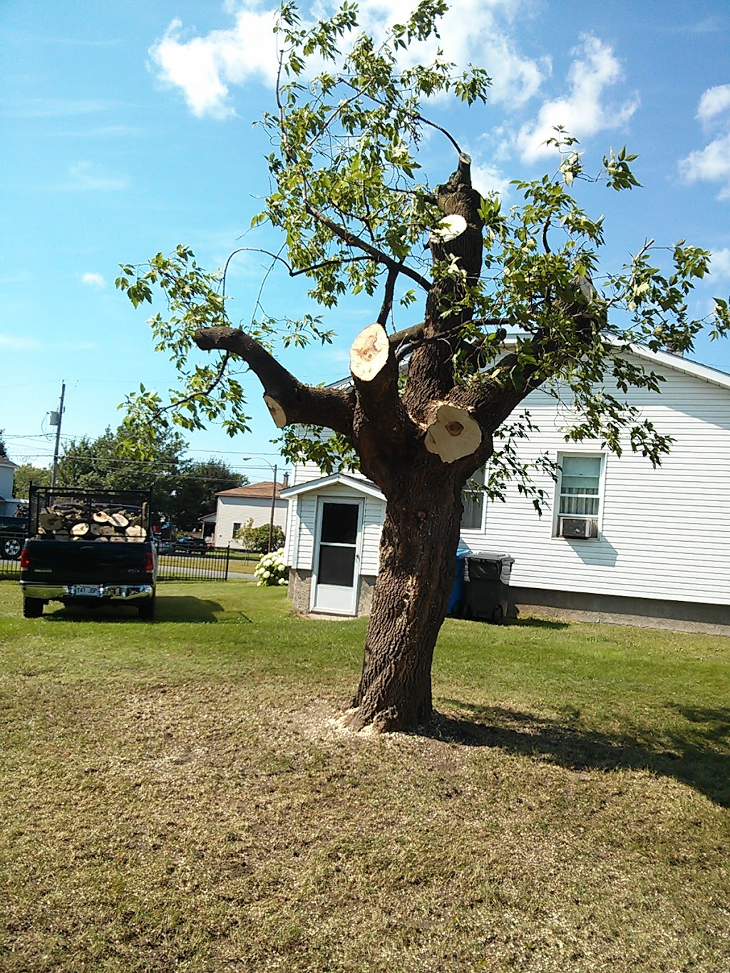 Emondage Yves Houle | 472 Rang N, Sainte-Victoire-de-Sorel, QC J0G 1T0, Canada | Phone: (450) 782-2354