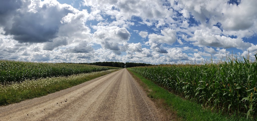 Underwood Grain Ltd | 41797 Howick Turnberry Rd, Wingham, ON N0G 2W0, Canada | Phone: (519) 335-3579