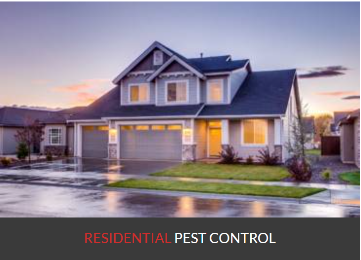 Pesterminate Inc | 78 Dalmatian Crescent, Scarborough, ON M1C 4W6, Canada | Phone: (647) 956-5868