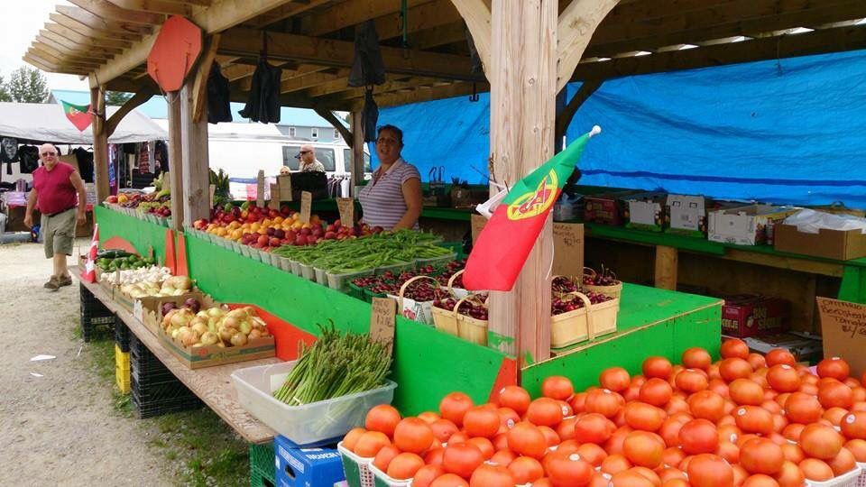 Elmvale Flea And Farmers Market | 1568 County Rd 92, Elmvale, ON L0L 1P0, Canada | Phone: (705) 322-1633