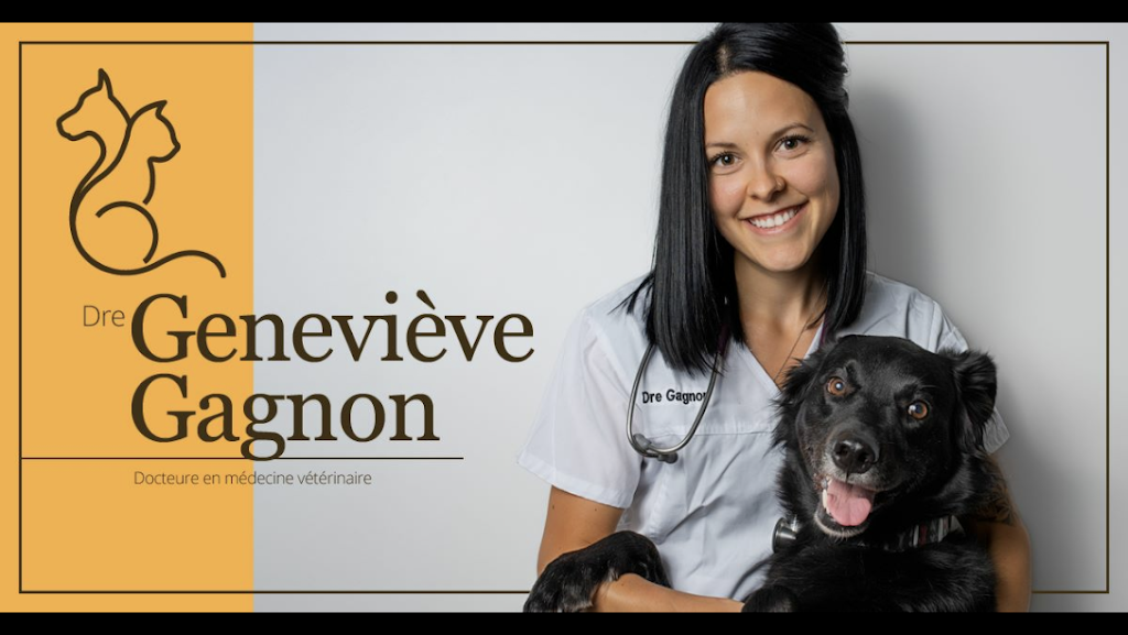 Lindsay Veterinary Hospital | 540 Rue Lindsay, Drummondville, QC J2B 1H4, Canada | Phone: (819) 474-0123