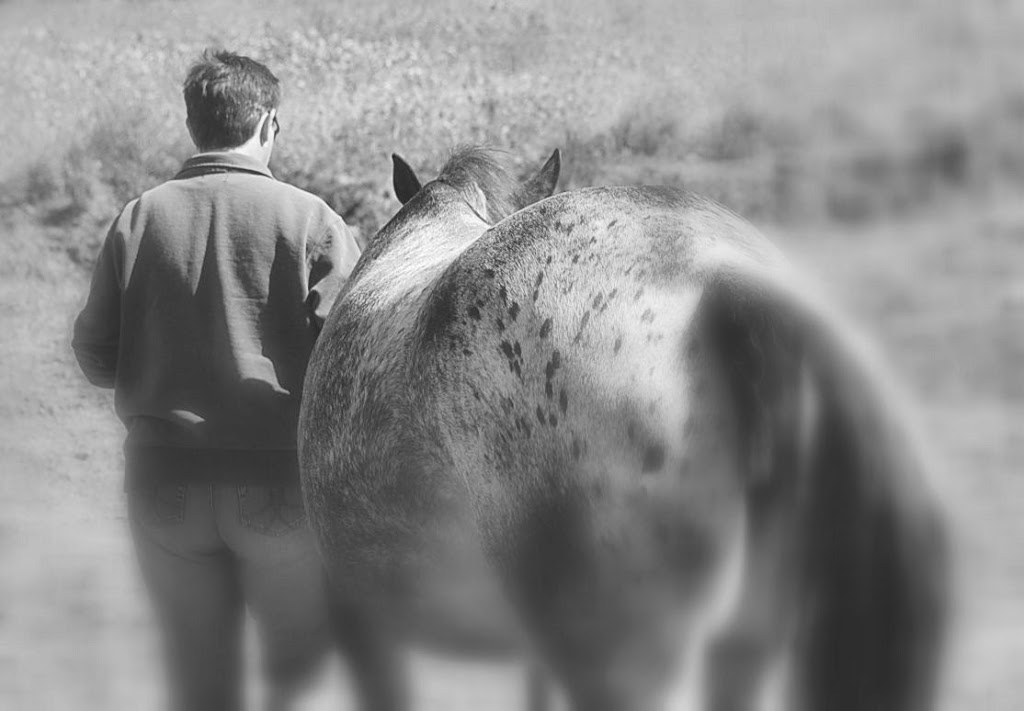 Two Minds - One Ride Horsemanship | 2058 Landry St, Clarence Creek, ON K0A 1N0, Canada | Phone: (819) 712-3565