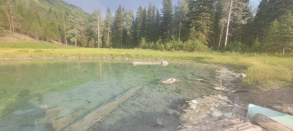 Sulphur Springs | East Kootenay A, BC V0B 1H0, Canada | Phone: (250) 865-4015