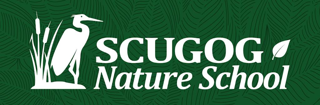 Scugog Nature School | 19400 St Christophers Beach Rd, Nestleton, ON L0B 1L0, Canada | Phone: (905) 986-4401