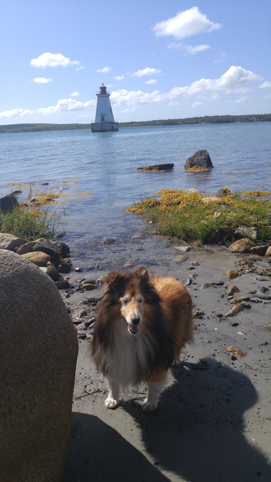 Sandy Point Recreation Centre | 1586 Sandy Point Rd, Shelburne, NS B0T 1W0, Canada | Phone: (902) 875-2229