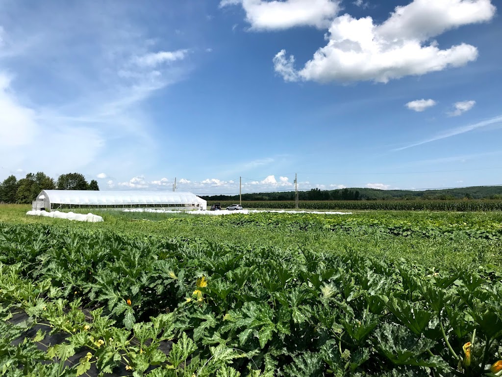La Ferme Aux Trois Petits Pois | 450 Mnt de la Côte-Rouge, Oka, QC J0N 1E0, Canada | Phone: (438) 403-2290