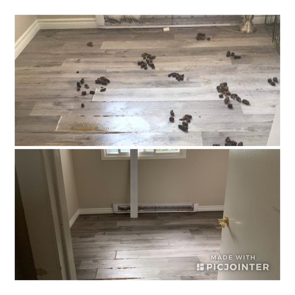 fixing your interior | 327 Brunswick St, Stratford, ON N5A 3M9, Canada | Phone: (519) 305-1645