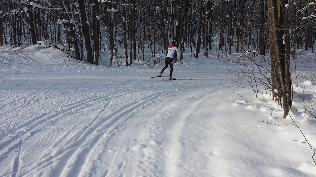Highlands Nordic | 1182 Nottawasaga Rd, Concession 10 N Nottawasaga Rd S, Duntroon, ON L0M 1H0, Canada | Phone: (705) 444-5017