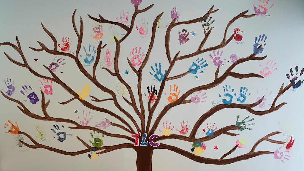 Bereaved Families of Ontario - South Central Region | 300 Fennell Ave E #2B, Hamilton, ON L9A 1T2, Canada | Phone: (905) 318-0070