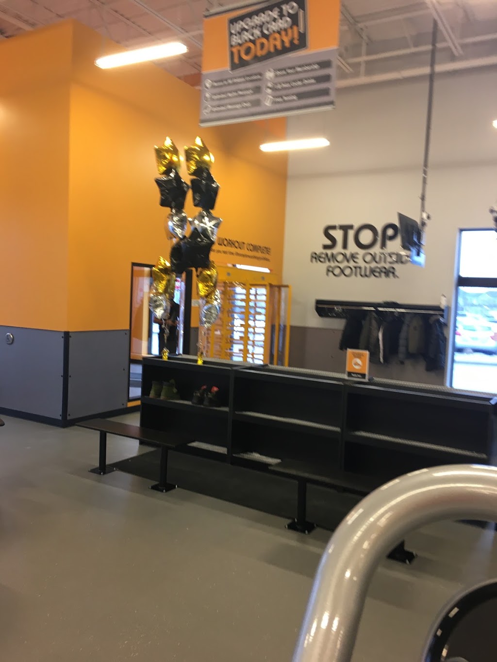 Fit4Less | 35 Worthington Ave, Brampton, ON L7A 2Y7, Canada | Phone: (905) 840-5464