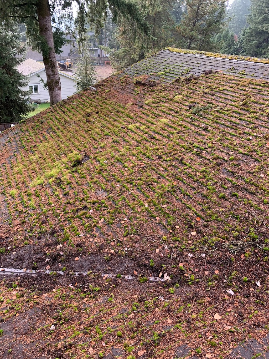Northwest Exterior Services | 20995 44a Ave, Langley City, BC V3A 8Z2, Canada | Phone: (778) 255-9609
