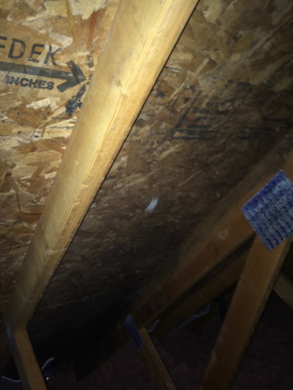 West Coast Remediation | 8860 W Saanich Rd, North Saanich, BC V8L 5W3, Canada | Phone: (250) 507-6810