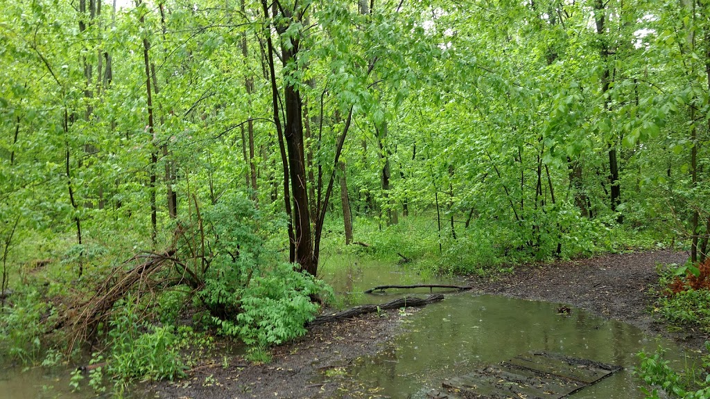 Woodward Woodlot | 1056 Woodward Ave, Milton, ON L9T 5Y2, Canada