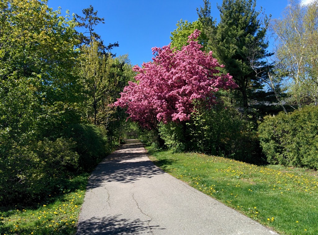 Folkway Park | Folkway Dr, Mississauga, ON L5L 3S5, Canada