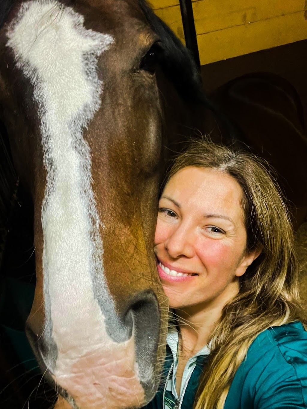 ZukaDressage | 133 Rue Jimmy, Sainte-Sophie, QC J5J 2Y3, Canada | Phone: (450) 752-7397